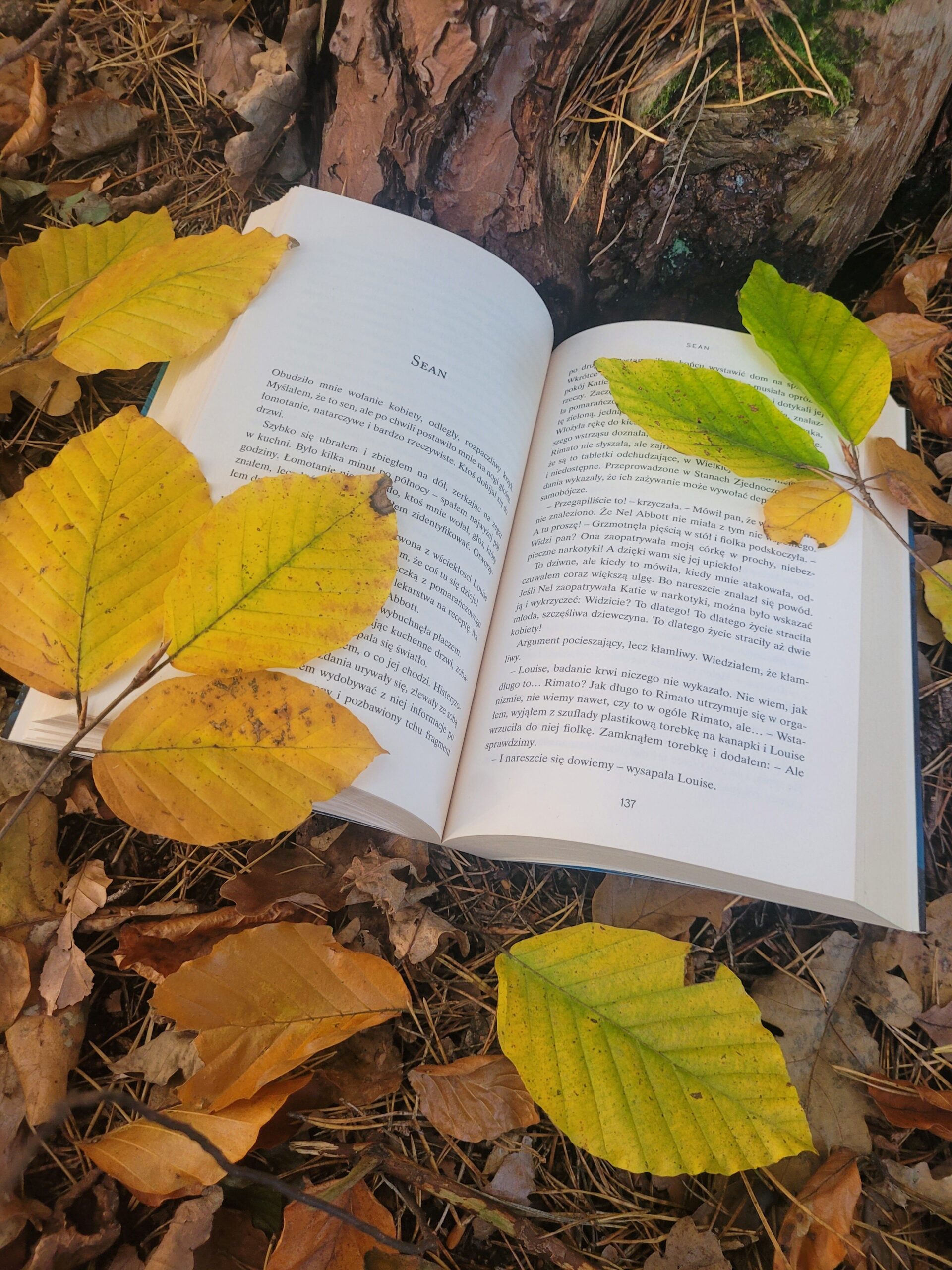 Cisza nad rzeką Zofia Skierka 3TRH