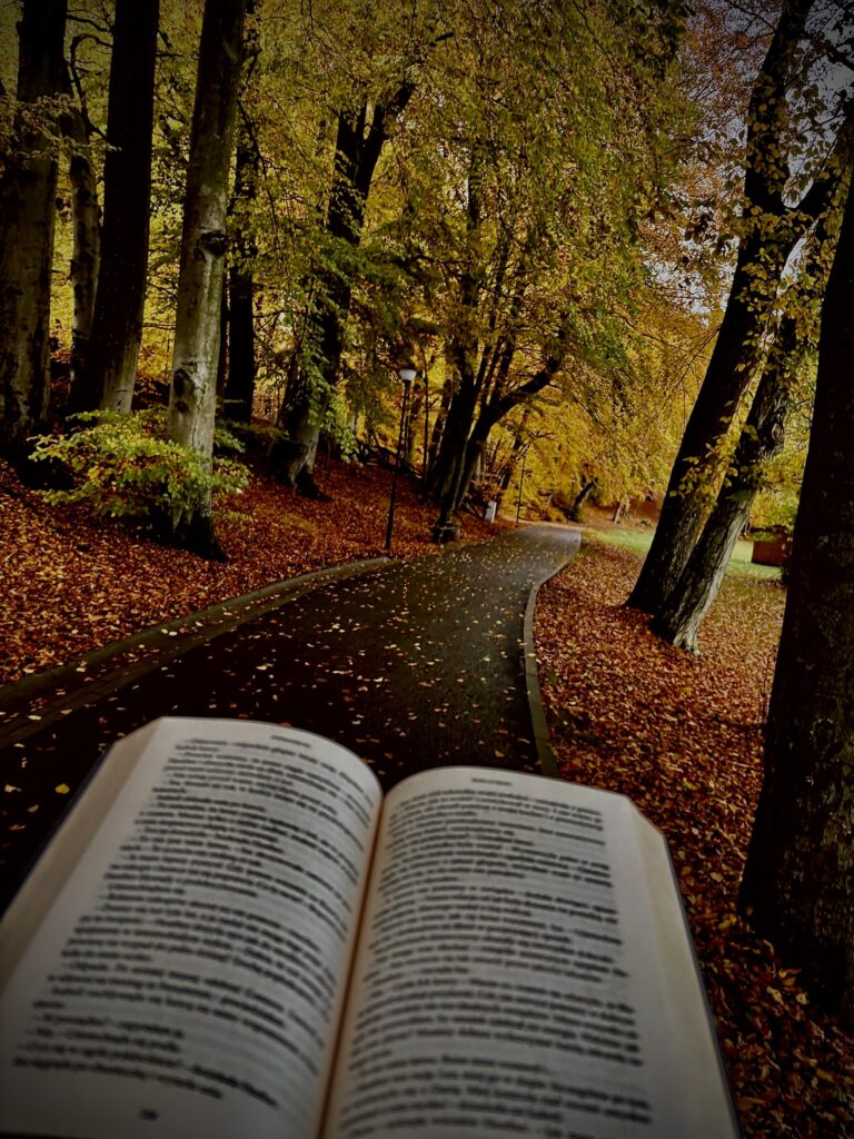 Jesień z książką Aleksandra Krauza 2lod